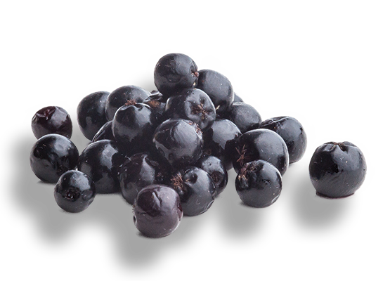 What is Aronia?